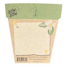 Sow N Sow Gift of Seeds Christmas Native Daisies