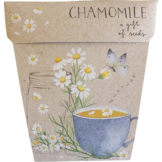 Sow n Sow Gift of Seeds Chamomile