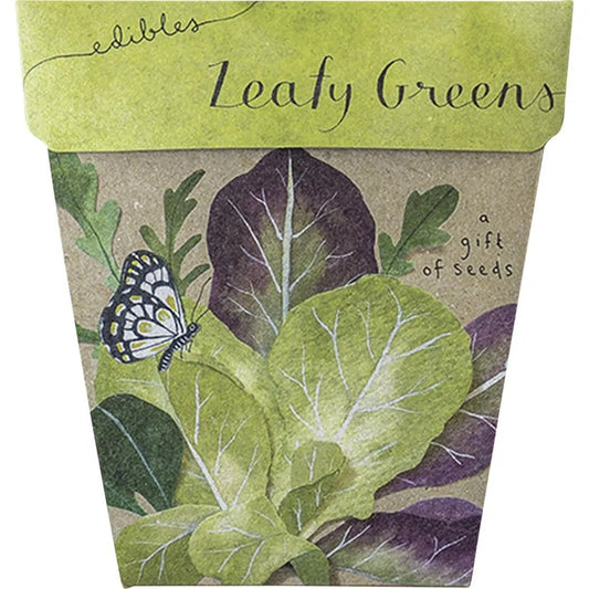 Sow n Sow Gift of Seeds Leafy Greens
