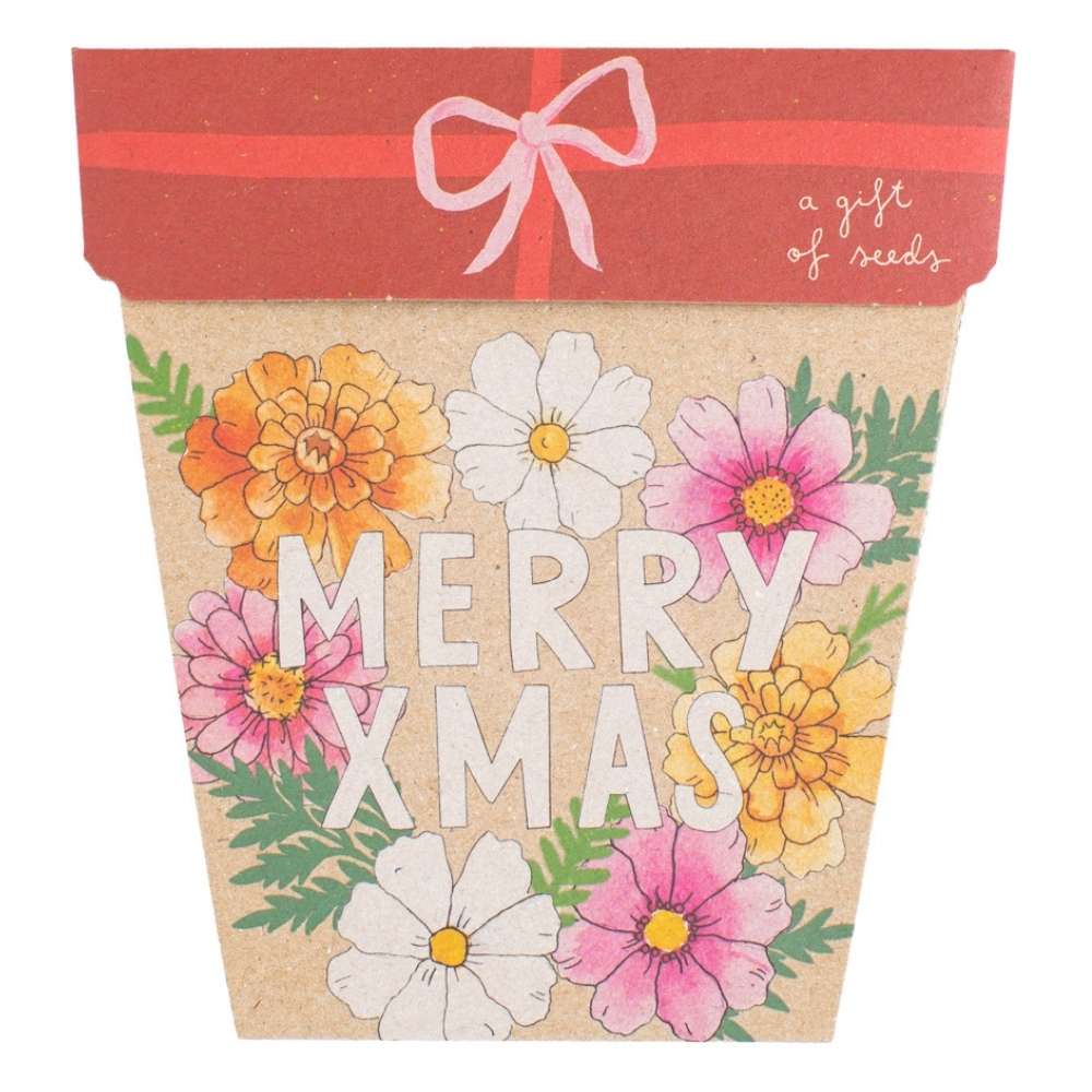 Sow N Sow Gift of Seeds Christmas Blooms