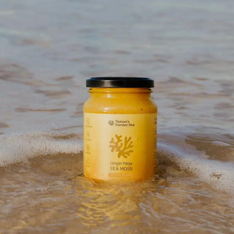 Sea Moss Gel Ginger Ninja 500ml