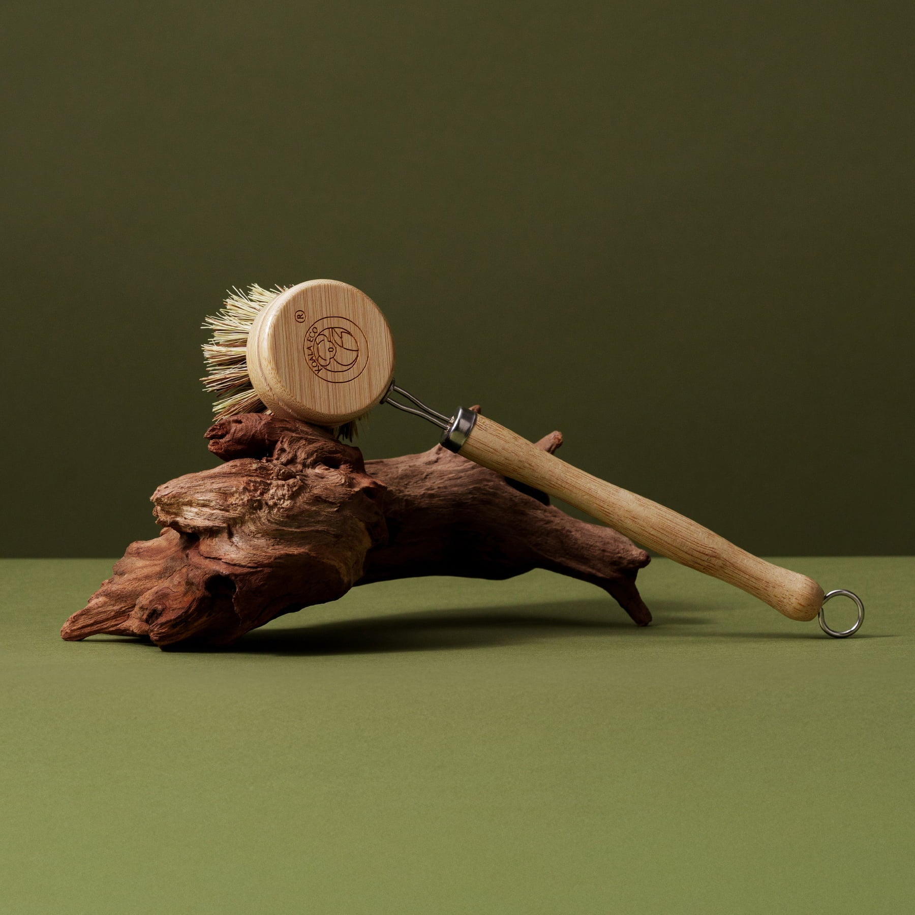 Koala Eco Traditional Dish Brush green background