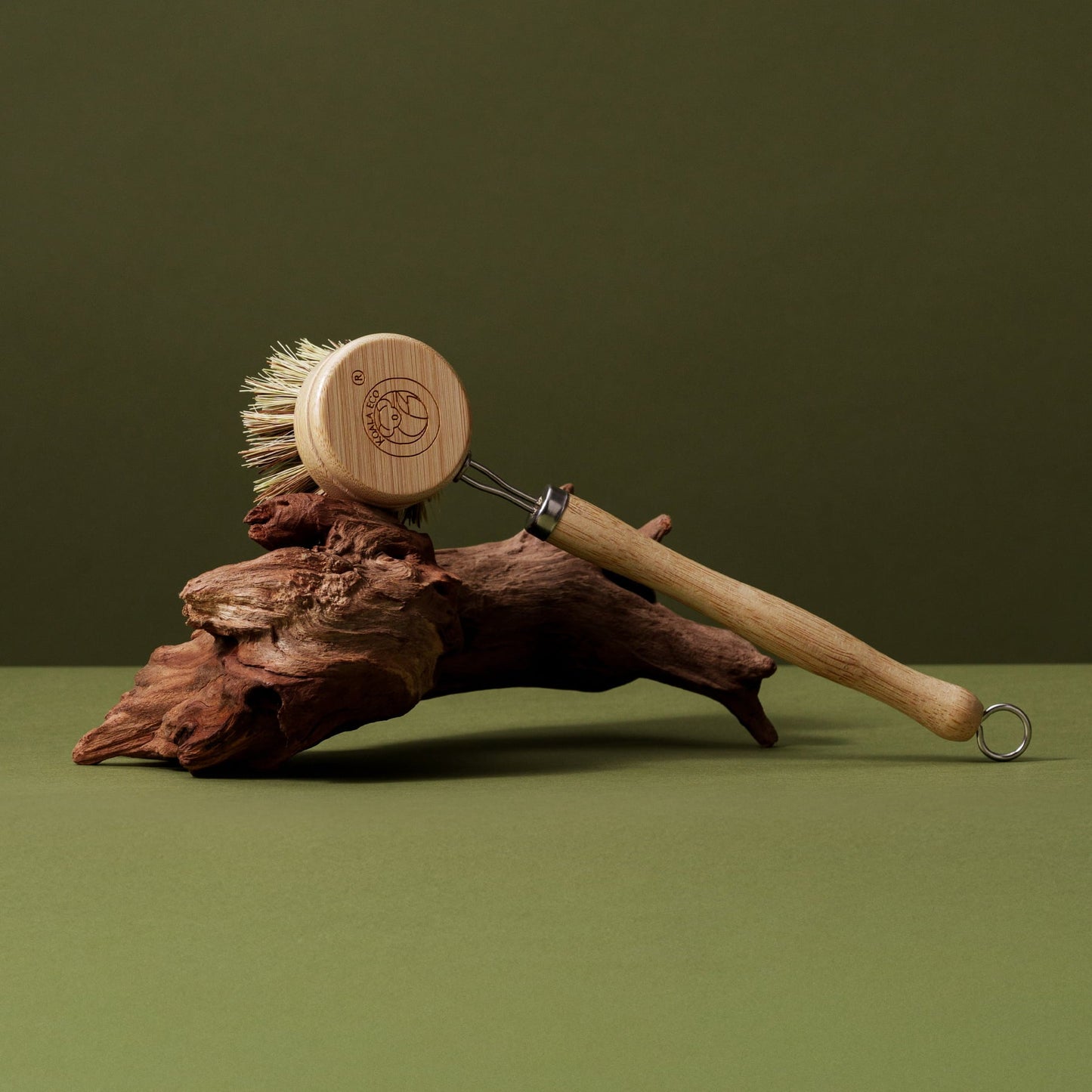 Koala Eco Traditional Dish Brush on green background