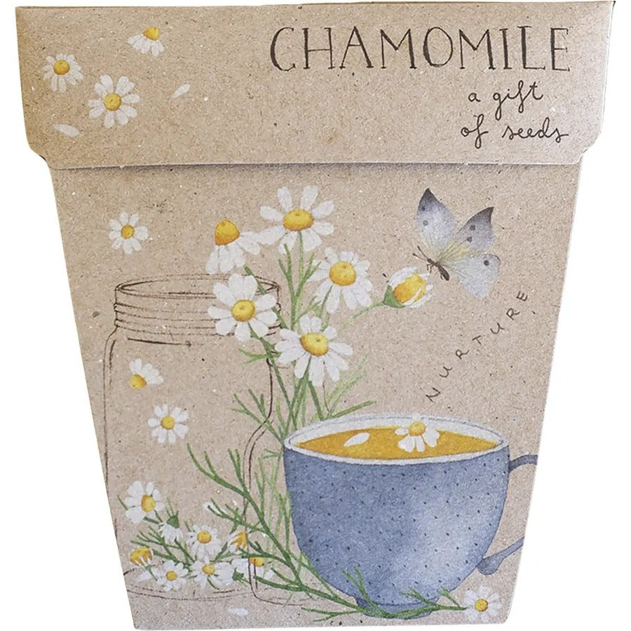 Sow n Sow Gift of Seeds Chamomile