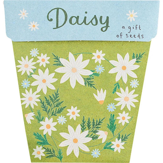 Sow n Sow Gift of Seeds Daisy