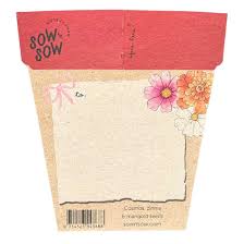 Sow N Sow Gift of Seeds Christmas Blooms