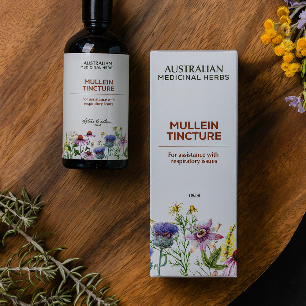 Australian Medicinal Herbs Mullein Respiratory Tincture